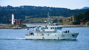 Orca near Fisgard Lighthouse